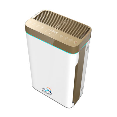 Humidifier with True HEPA filter
