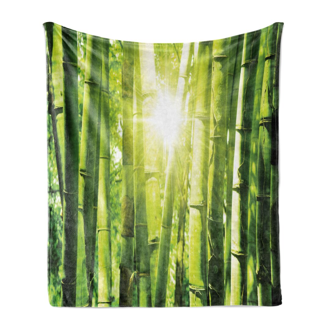 Kuscheldecke Bamboo Forest with Morning Sunlight Sun Beams Through Trees Jungle Scene