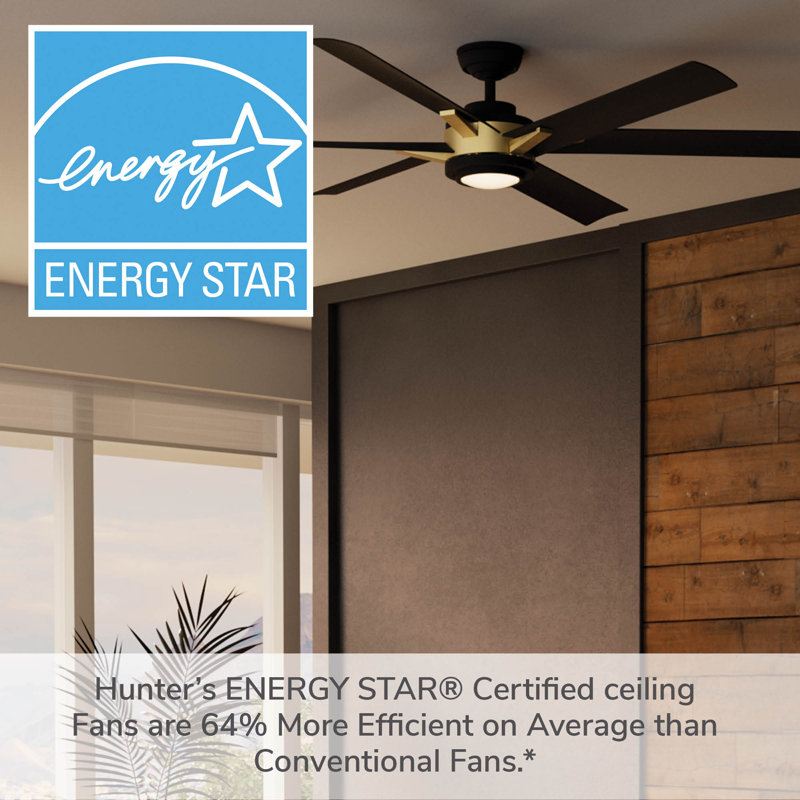 Casablanca 65 inch Melia ENERGY STAR®  Damp Rated Ceiling Fan with Lights and Wall Control, Black/Gold