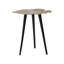 Borrego End Table