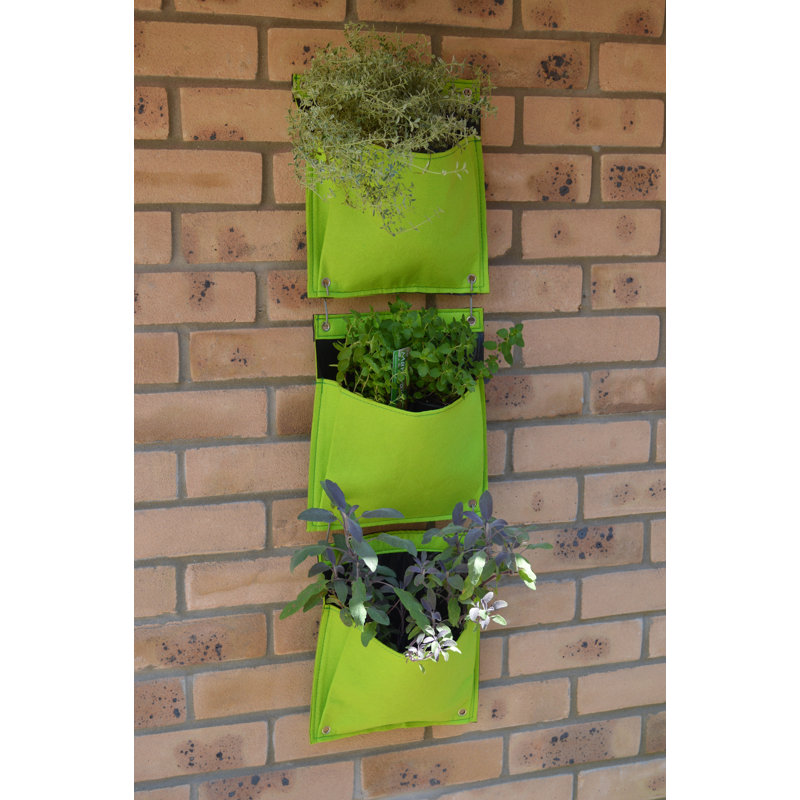 LosPalmos Wall Planter, Lime Green