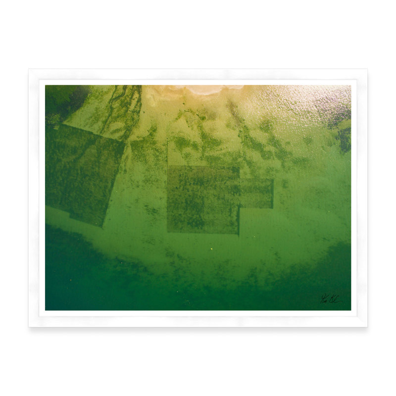 Johnson Point II, Blanc