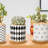 Kennetra Ceramic Pot Planter