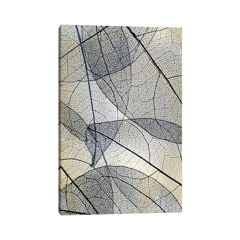Transparent Leaves III 1 Piece Wrapped Canvas Wall Art, 20.32 cm H x 30.48 cm W