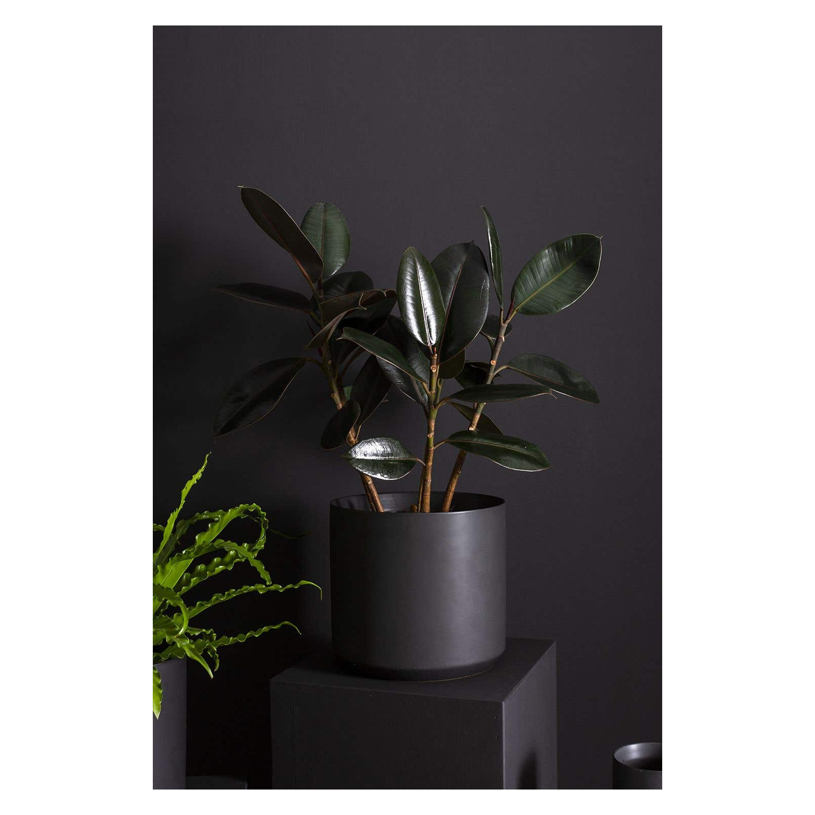 Parsons Handmade Ceramic Pot Planter, Black, 2.75" H x 3.25" W x 3.25" D