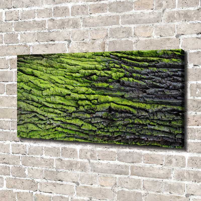 Tree Bark - Print, Canvas, 70cm H x 140cm W x 2cm D