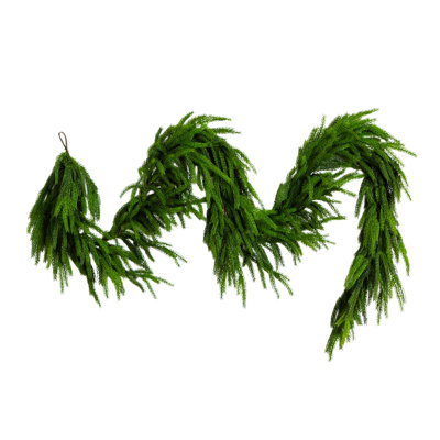 Norfolk Pine Christmas Garland