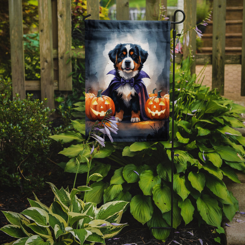 Puppy Halloween Garden Flag, Bernese Mountain Dog