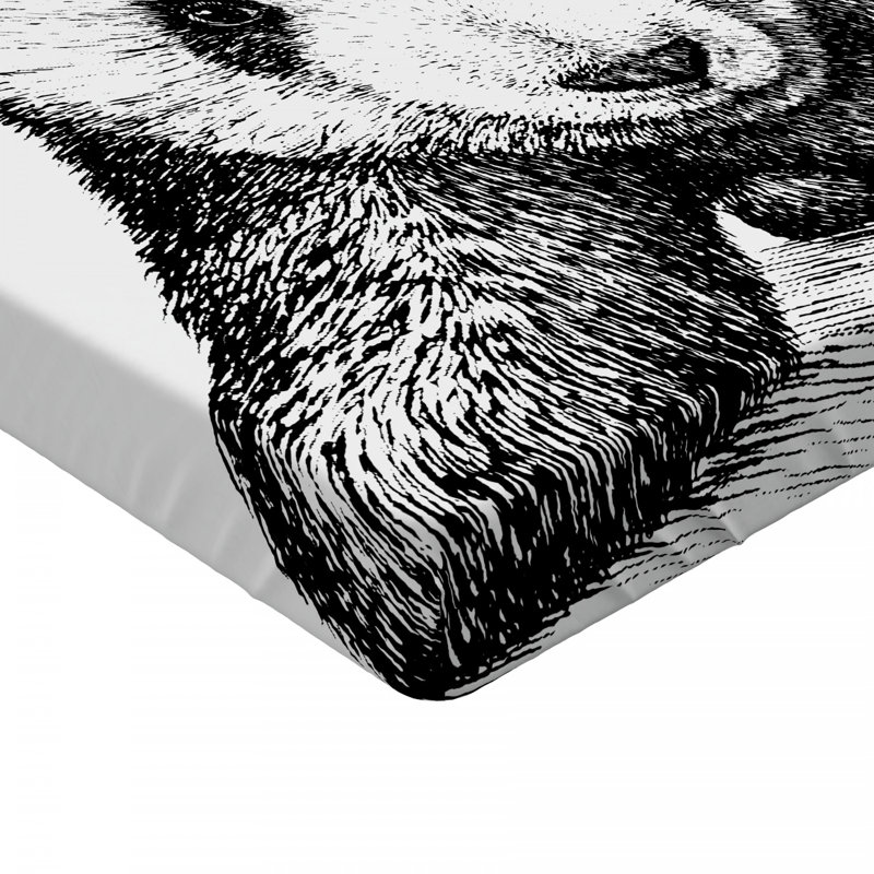 Microfiber Fitted Sheet, Queen Fitted Sheet
