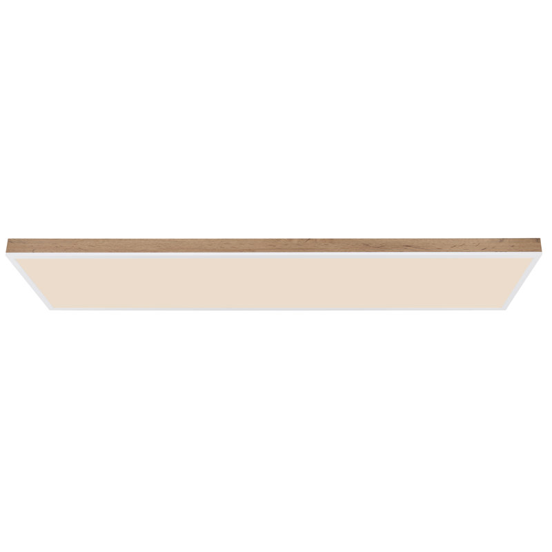 Ason Plastic LED Flush Mount