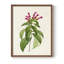 «Pretty Pink Botanicals», reproduction encadrée en bois massif-154854096-154854097