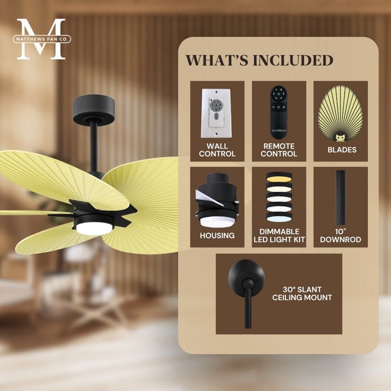 Alessandra Tropical - Five Blade Ceiling Fan - Integrated LED -Matte Black Finish -Light Blue Blades, Matte Black