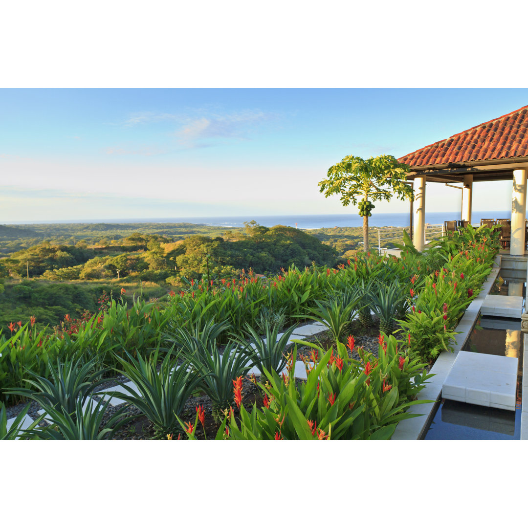 Leinwandbild Tamarindo Villa und Coconut Tree