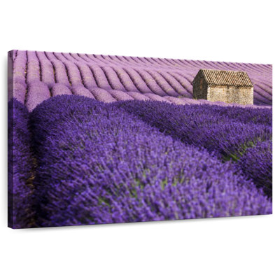 Alvord Valensole Plateau