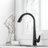 Langsun Pull Down Kitchen Faucet-70663596
