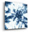  «Shibori Shells 3» par Chariklia Zarris, art mural en verre acrylique, 36 po x 36 po-1990574191