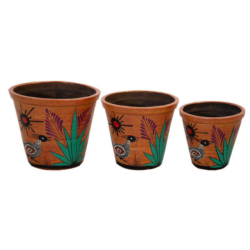 "Petit ensemble" de pots à fleurs Southwest Roadrunner