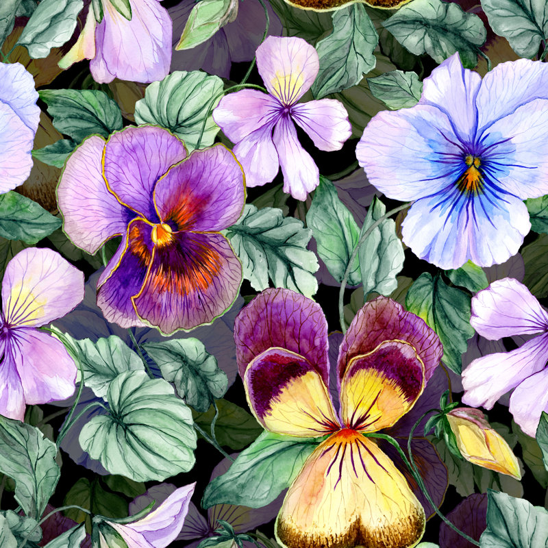Windber Beautiful Large Vivid Viola - Wrapped Canvas Print, 30cm H x 30cm W x 3.8cm D