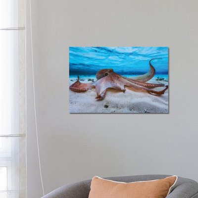 Octopus by Barathieu Gabriel - Print on Canvas