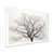 White Single Picture Framed