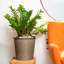 Jardinière Argyro-1761572210-1761572212