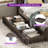 Daybed With Bookcase Headboard, Rgb Led Lights And Drawers Storage,f G-2142662344-2142662347