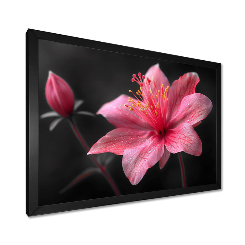 Rose, gris, élégant, simplicité, fuchsia - Fuschia, art mural, Cadre pour photo simple noir, bois massif, H 30 po x l 40 po