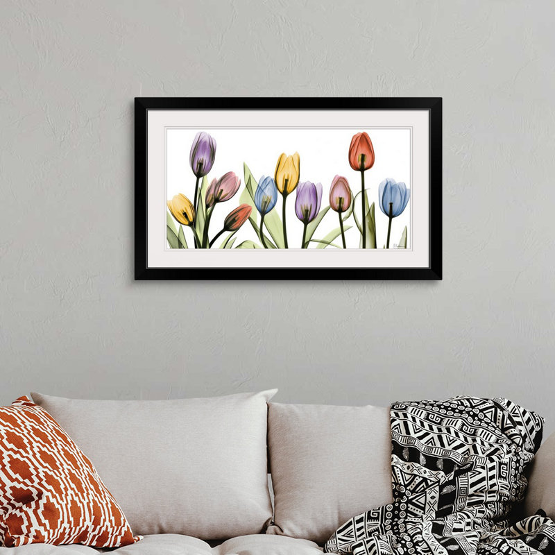 Tulipe - imprimé, H 23 po x l 38 po x P 1 po, Cadre noir
