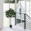 Burkitt 122cm Plant: Lifelike & Zero Maintenance