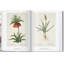 Redouté. The Book of Flowers. 45th Ed.