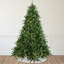 Real Touch Pre-Lit Cumberland Pine Artificial Christmas Tree - Warm White LED-1586354814