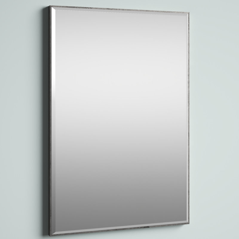 Miroir traditionnel biseauté Logsdon, Argent foncé, 24 po x 36 po