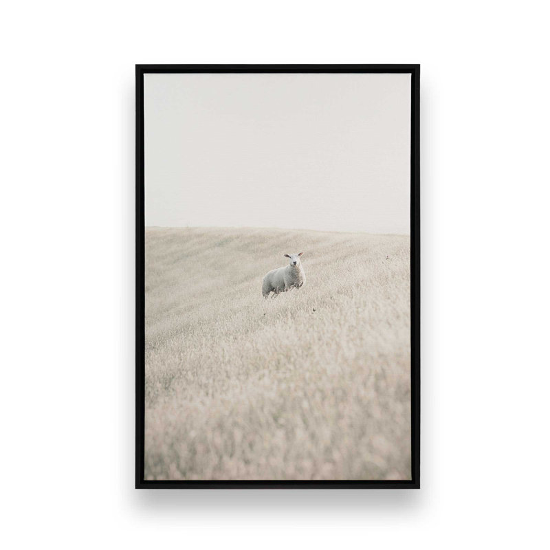 «Serene Sheep Pasture», reproduction sur toile tendue, Cadre flottant noir satiné, H 12,75 po x l 8,75 po x P 1,75 po