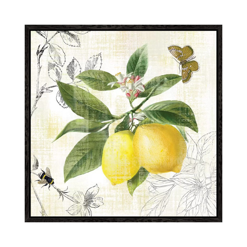 Linen Lemons I by Nan - Print on Canvas, Black Framed, 66.04 cm H x 66.04 cm W