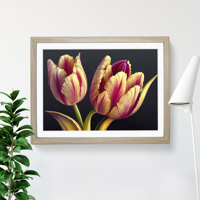 Beguiling Tulip Flowers - Single Picture Frame Print, 46cm H x 64cm W x 2cm D, Oak Framed