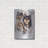 " Collie " by Barbara Keith-597782180