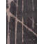 Rapture Abstract Area Rug-1607105182