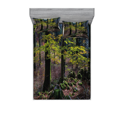 Microfiber Sheet Set
