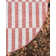 Ingiburgh Striped Red/Ivory Area Rug