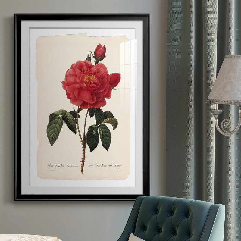 Red Botanical III - cadre photo, impression, H 26,5 po x l 36,5 po x P 1,5 po, Noir
