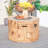 Fredirick Round Concrete Propane Fire Pit Table with Lid