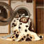  Tapis crème glacé à motif de biscuits lavables-360471013