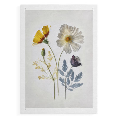 Pressed Flower Memories II -Impression sur toile seulement - NON-CADRE