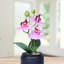 Petite plante artificielle orchidée rose d'intérieur, 9 pouces, 3 cm-98389295-98389292