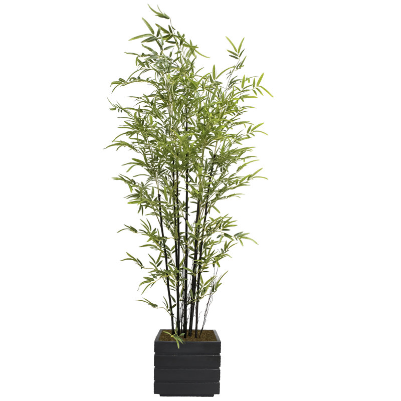 Bambou artificiel Panama en pot, Po 14 po Fiberstone noir