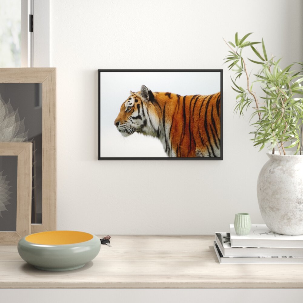 Gerahmtes Wandbild Tiger vor Hintergrund