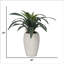 Plante grasse artificielle réaliste 20 po Real Touch
