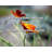 Joseph Hooton Taylor, Jr. Quote: It takes time to save time.-313993156