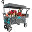 Chariot pliable à pousser et tirer avec auvent amovible