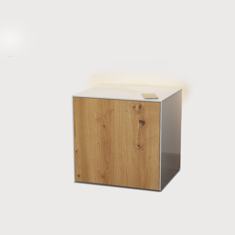 INTEL Side / lamp Table, White/Oak